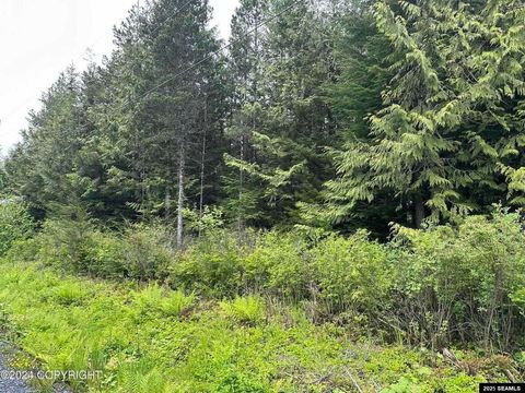 Photo of 616 Council Drive, Wrangell, AK 99929 (MLS # 25175)