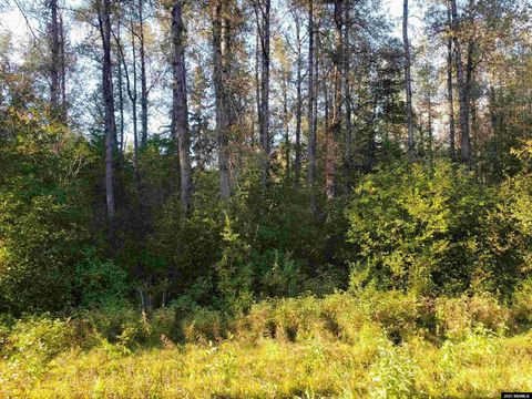 Photo of 25 Mile Haines Highway, Haines, AK 99827 (MLS # 25256)