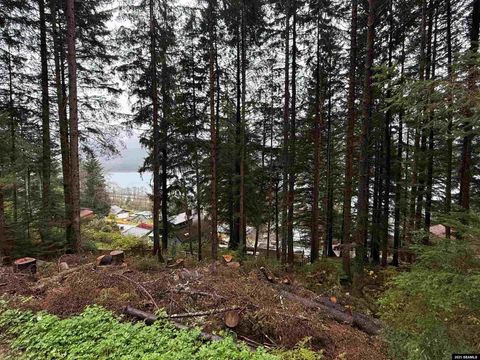 Photo of 1853 Bartlett Avenue, Juneau, AK 99801 (MLS # 25939)