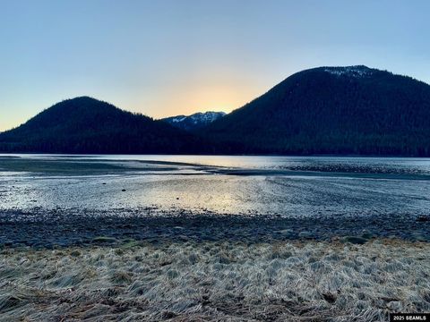 Photo of 101 Somerset Lane, Petersburg, AK 99833 (MLS # 26014)