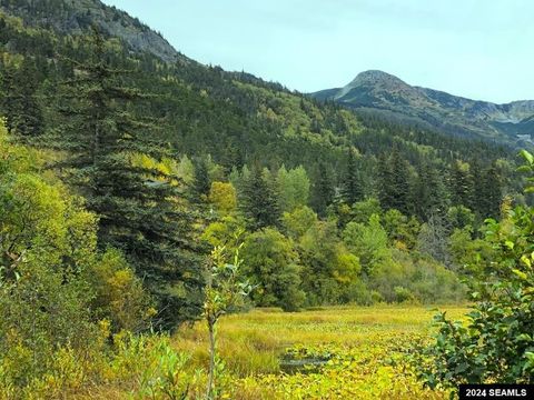 Photo of Haines, AK 99827 (MLS # 24857)