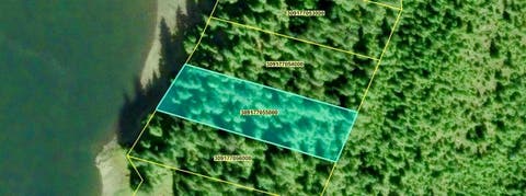 Photo of Lot 6, Blk 4, Legal Address Only #Lot 6, Blk 4, Coon C, Ketchikan, AK 99901 (MLS # 260608)