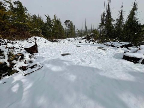 Photo of 100 Blk Bunchberry Lane, Ketchikan, AK 99901 (MLS # 260180)