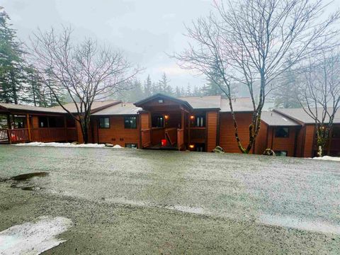 Photo of 2160 Lawson Creek Road #Unit C, Douglas, AK 99824 (MLS # 260073)