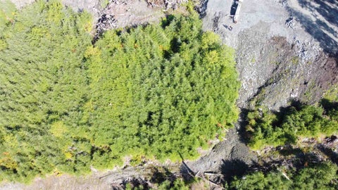 Photo of Legal Address Only #Lot 4 Yew Wood Drive, Ketchikan, AK 99901 (MLS # 260739)