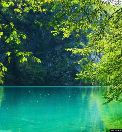 Photo of 0 Chilkat Lake Road, Haines, AK 99827 (MLS # 25819)