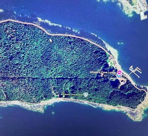 Photo of Lot N6 Killisnoo Island, Angoon, AK 99820 (MLS # 260043)