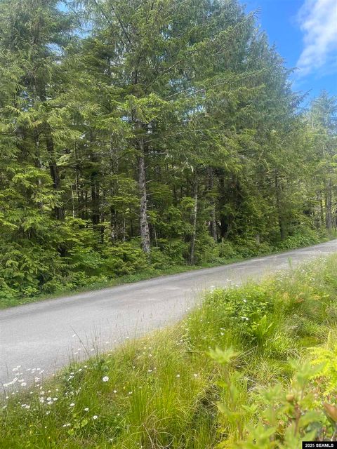 Photo of St not on list see add2 #LOT 11, Bunchberry R, Ketchikan, AK 99901 (MLS # 25662)