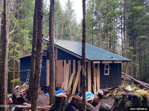 Photo of NHN Legal Address Only #Lot 1, Block 17, Thorne Bay, AK 99919 (MLS # 25456)