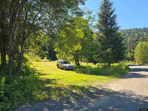 Photo of Lot 23 Mosquito Lake Road, Haines, AK 99827 (MLS # 25731)