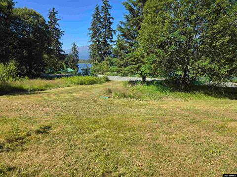 Photo of no# Mosquito Lake Road, Haines, AK 99827 (MLS # 25731)