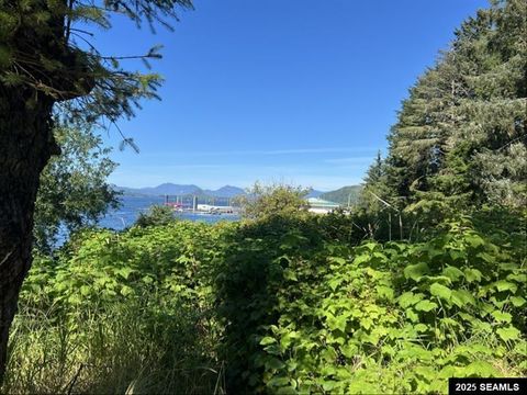 Photo of 800 Water Street, Craig, AK 99921 (MLS # 25822)