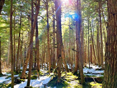 Photo of Small Tracts Rd Small Tracts Road #3138 E. Elwood Stree, Haines, AK 99827 (MLS # 260246)