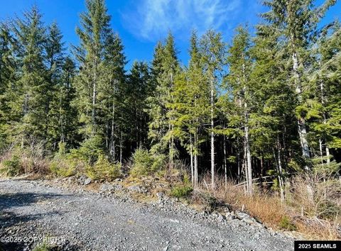 Photo of L7B13 Bayview Drive, Naukati Bay, AK 99950 (MLS # 25388)