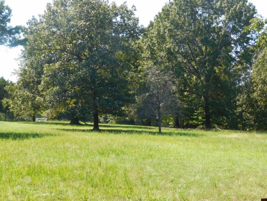 73 RIDGEWOOD DR, LAKEVIEW, AR 72642 - Image 19a7810084f1f01035cfbfdc3fcef75c/1460001062