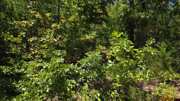 HILLCREST ST, BULL SHOALS, AR 72619 - Image 3074c2ca1b5b253d4f16a6cc9dbaaf9f/3398845431
