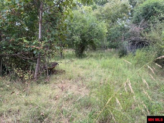 11366 HIGHWAY 5 S, SALESVILLE, AR 72653 - Image 312ebaba2c1642e96da316a867c4e094/3209563891