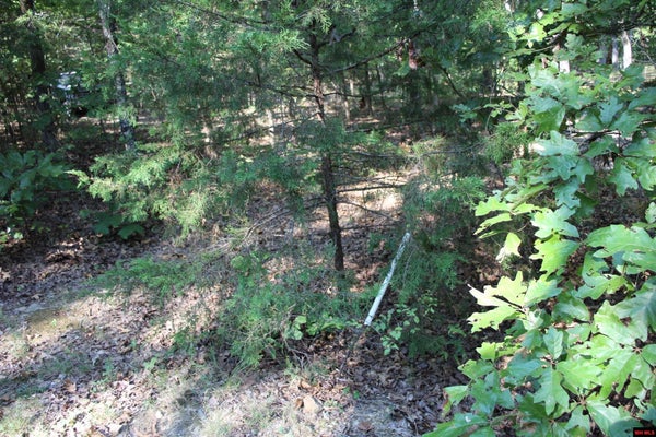 38 JEB RD, FLIPPIN, AR 72634 - Image 359b862521bcd6faeadc1197930c8c5f/2345034331