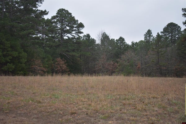 SWISS ALPS LN, MOUNTAIN HOME, AR 72653 - Image 409a527082d34bba72f2adc8ca6ccf93/2917458698