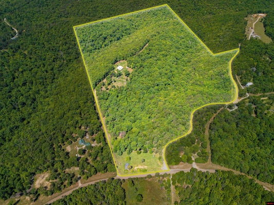 251 COLD MOUNTAIN TER, YELLVILLE, AR 72687 - Image 431befc0096f8f72de361a9e496db26f/3759243530