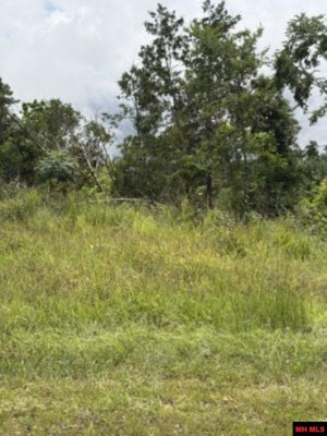 23 COUNTY RD 868, HENDERSON, AR 72544 - Image 6a476af410cd53dca741ec89e48fa04b/1242093566