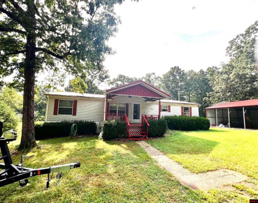 46 TUSCON LN, VIOLA, AR 72583 - Image 6ce4d9da6625f331b9f5908fe023e541/748820965