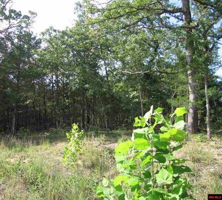 LOT 15 SARGENT PEPPER DRIVE, FLIPPIN, AR 72634 - Image 74b0f080445ede7779f7a07d9cab653a/644620124