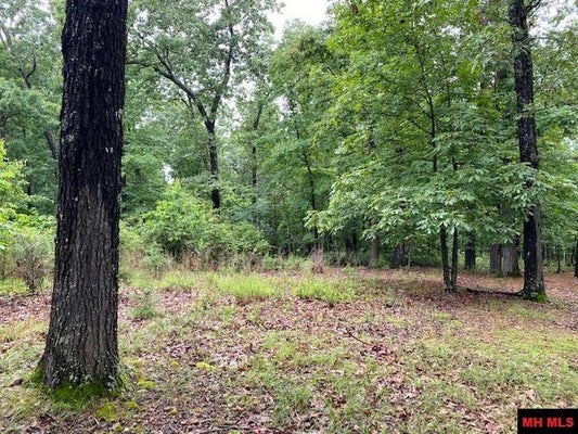 LOT 5 LAKEVIEW CIRCLE, BULL SHOALS, AR 72619 - Image 871f66fbdf3d9fa4a6f9bd006d579112/2710683947