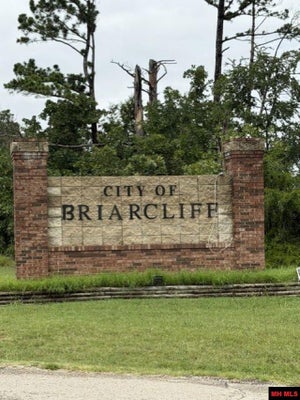 HEBRIDES AVE, MOUNTAIN HOME, AR 72653 - Image 91a376e8671467a328b7dff26daf1b2d/3518248596