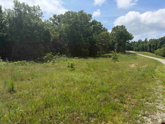 107 HIGHWAY 201 N, MOUNTAIN HOME, AR 72653 - Image ab4b0eb4751143cf52b9fabafdd8a45e/342695857