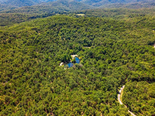 1499 OLLIE MOUNTAIN LN, FLIPPIN, AR 72634 - Image b0218fdb74afd29bfc905332d2ca770a/1760047016