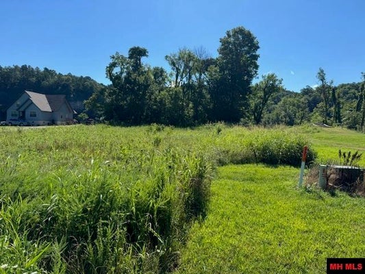 002-11244-042 TRAVIS TERRACE, NORFORK, AR 72658 - Image c276b05cbd4b6993ddf3786b7876207c/1375852228