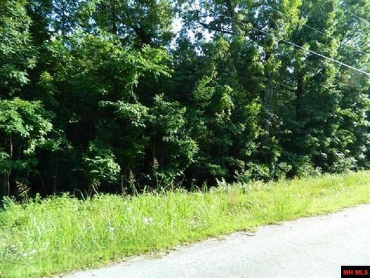 LOTS 1-4 WALNUT AVENUE, BULL SHOALS, AR 72619 - Image c5ce6996a7dc8df299548ab3449a1405/2225570364