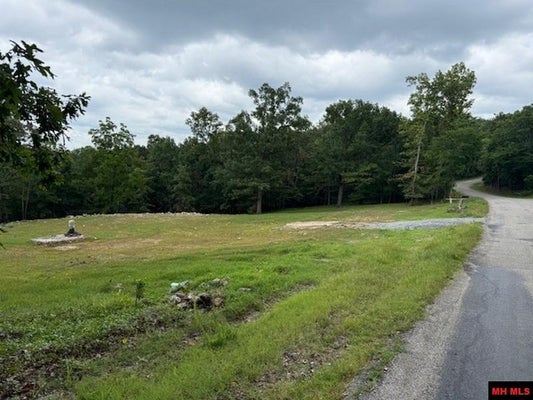 1882 ROBINSON POINT RD, MOUNTAIN HOME, AR 72653 - Image e4fba18f5f00cf8228560741c1cd5b4c/2535867576