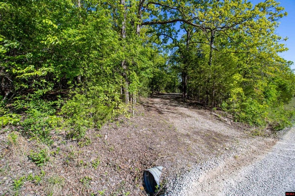 LOT 7 CR 476, CLARKRIDGE, AR 72623 - Image e95cccc85a9d3bcfcd0ff15f085bad30/3818534875