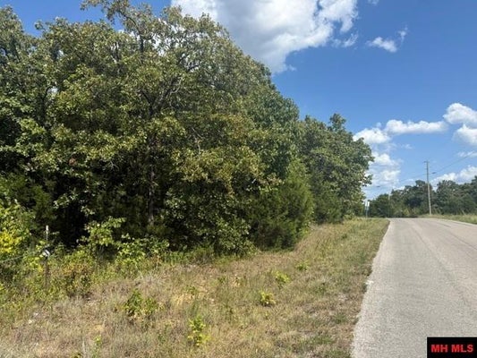 COUNTY RD 36, CLARKRIDGE, AR 72623 - Image ea4f2cdb4de5e0dcc5bf127ecbcfa9f6/1075052113