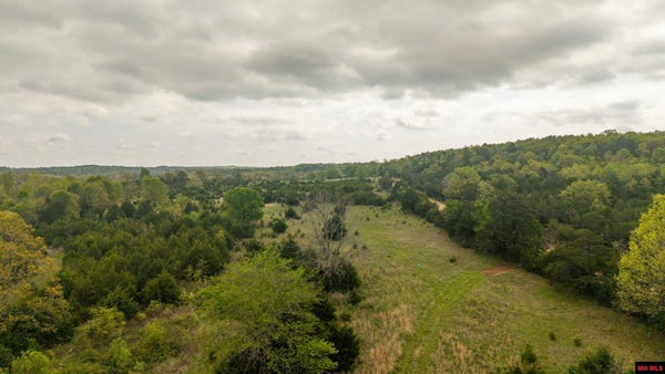 4 LITTLE WOODS RD, BEXAR, AR 72515 - Image f0c801935e3560dcd0cdf66f478368e9/3301539519