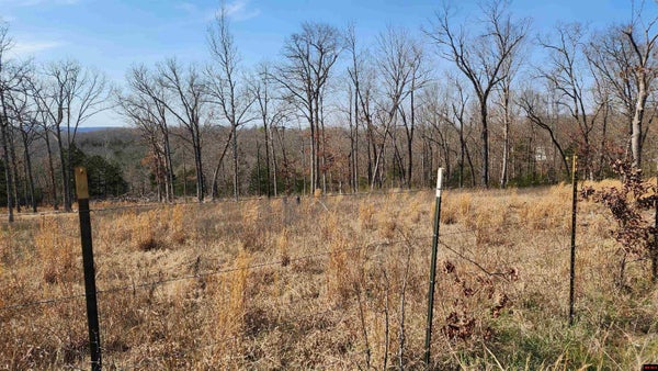 C S WOODS BLVD, BULL SHOALS, AR 72619 - Image fef01e08021ee38c480a5783ed2249b9/630577776
