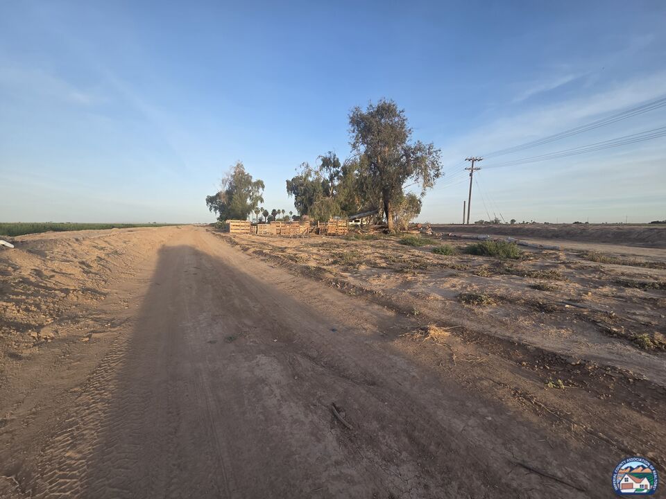 2020   De Paoli Rd - Photo 4