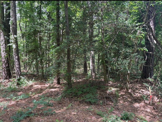 0 PIONEER TRAIL, HAGUE, VA 22469 - Image 99026d214c473dfd6fdf64d8dee825b2/3742321854