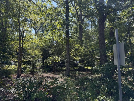 360 SHERWOOD DR, REEDVILLE, VA 22539 - Image b855fc6ebebdf2eedd8dc12e568ff777/3657796295