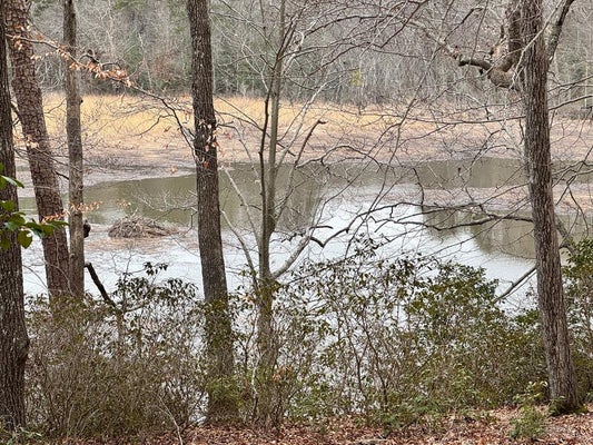 BEECH TREE LN, TAPPAHANNOCK, VA 22560 - Image c90ba3bc00c2a7ca87b9da652ed8ee84/2569983980