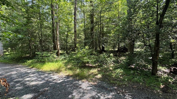 20 1ST ST, LANCASTER, VA 22503 - Image e55d49ecf63ad49b34b699da8d2a7e7b/1569115148