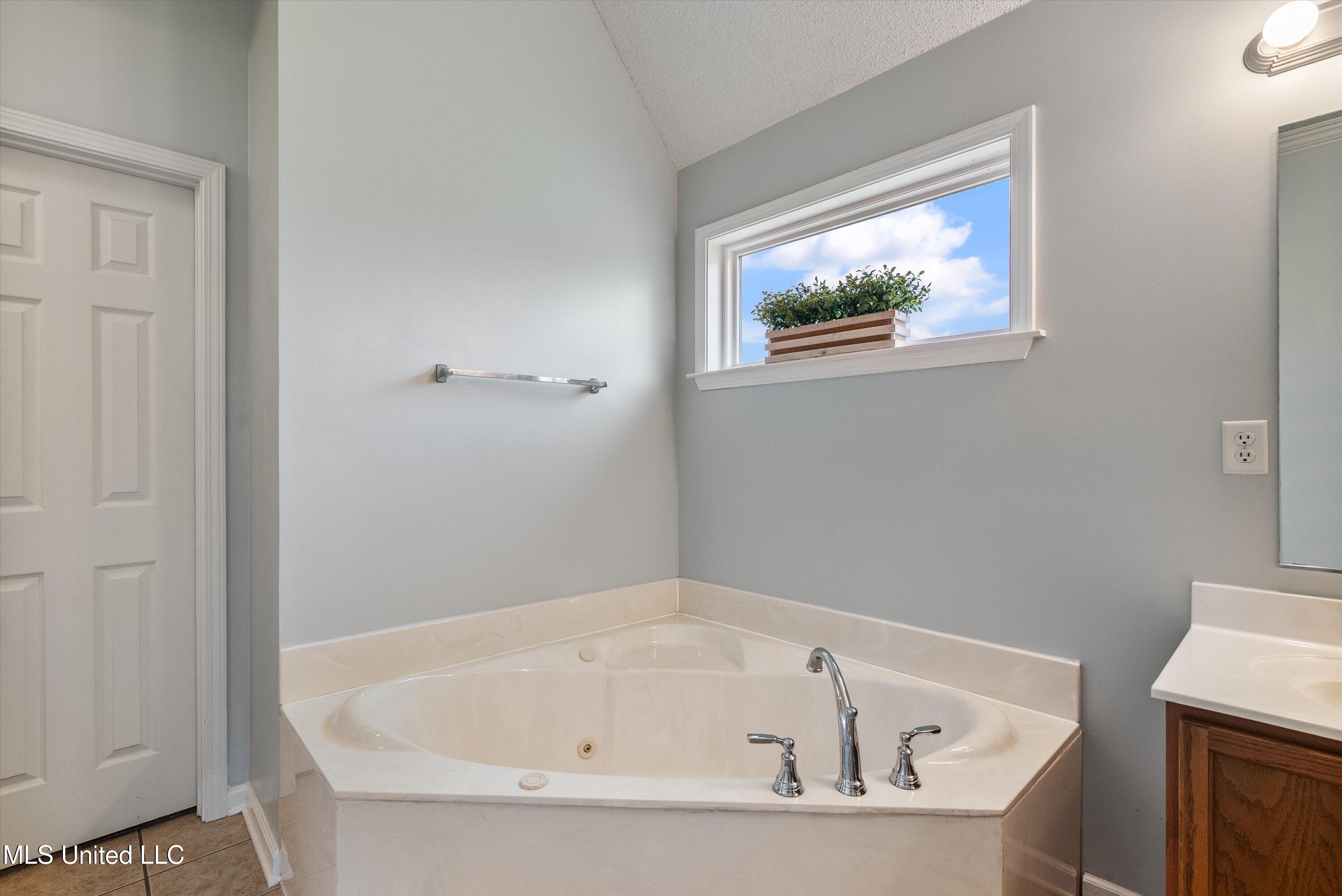 9727 Dorothy Drive, Olive Branch, Mississippi image 20