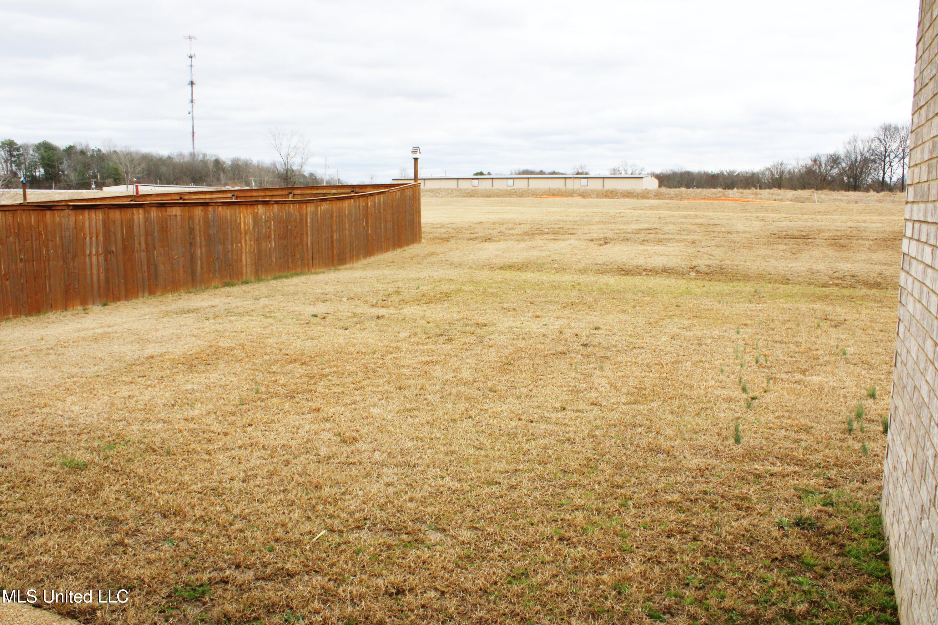 701 Beckett Cove, Hernando, Mississippi image 41