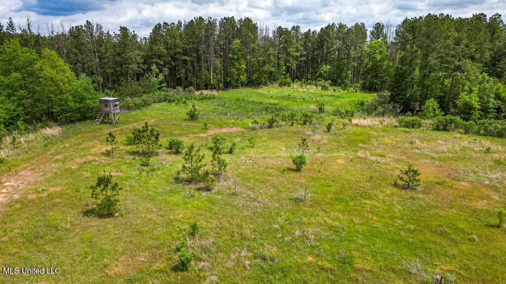 2684 33 Highway, Crosby, Mississippi image 1
