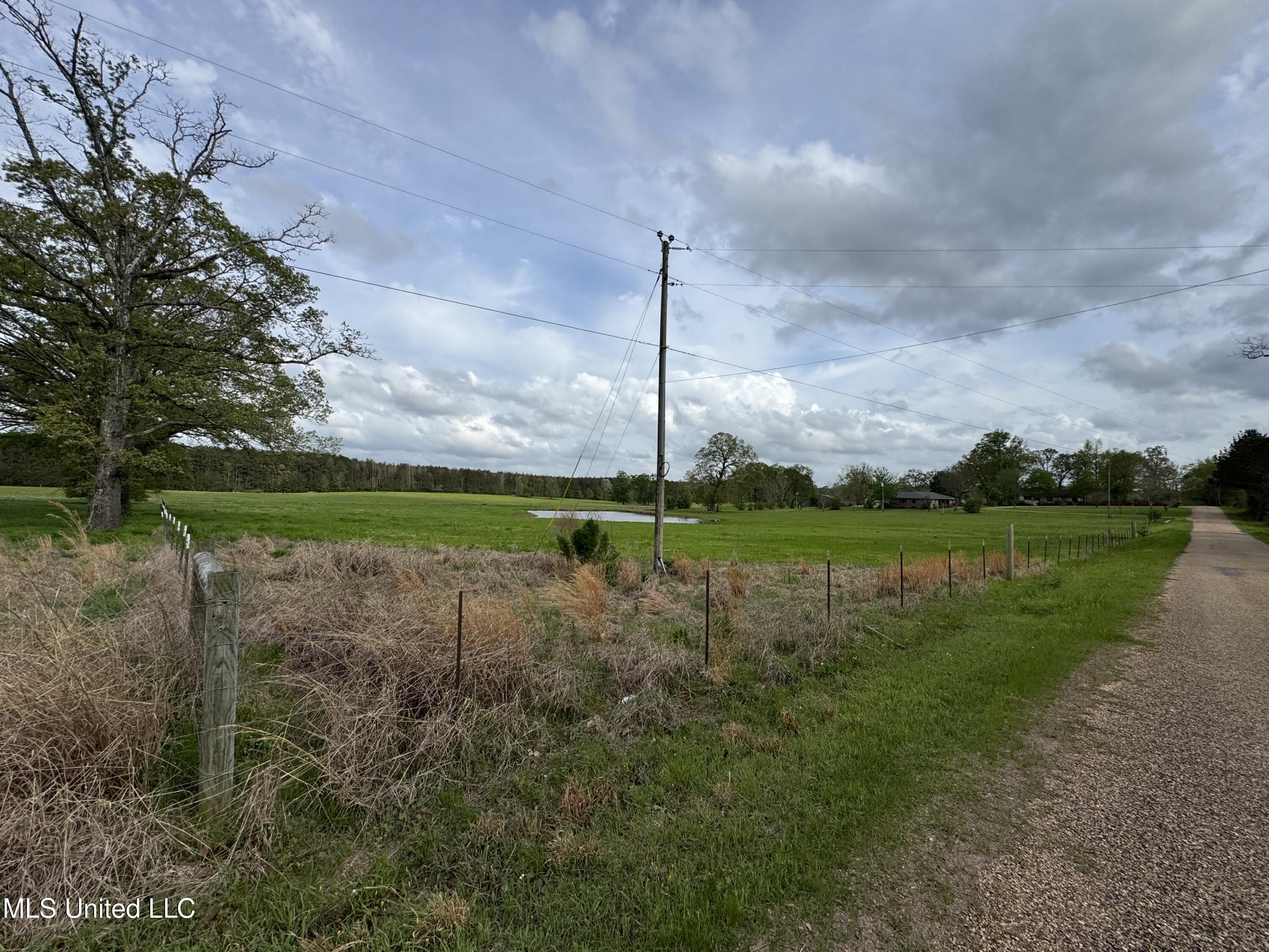 2451a Dalton Lane, Smithdale, Mississippi image 19