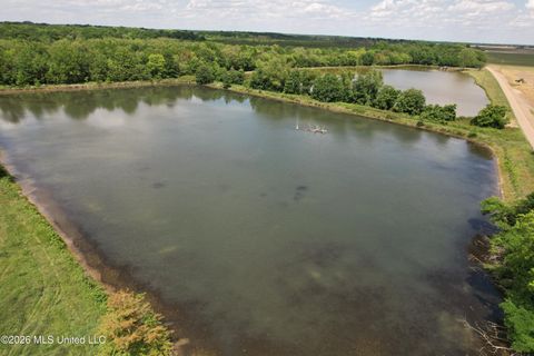 Vacant Land For Sale - Jenkins Road<br/> Coahoma County, Alligator, MS 38720