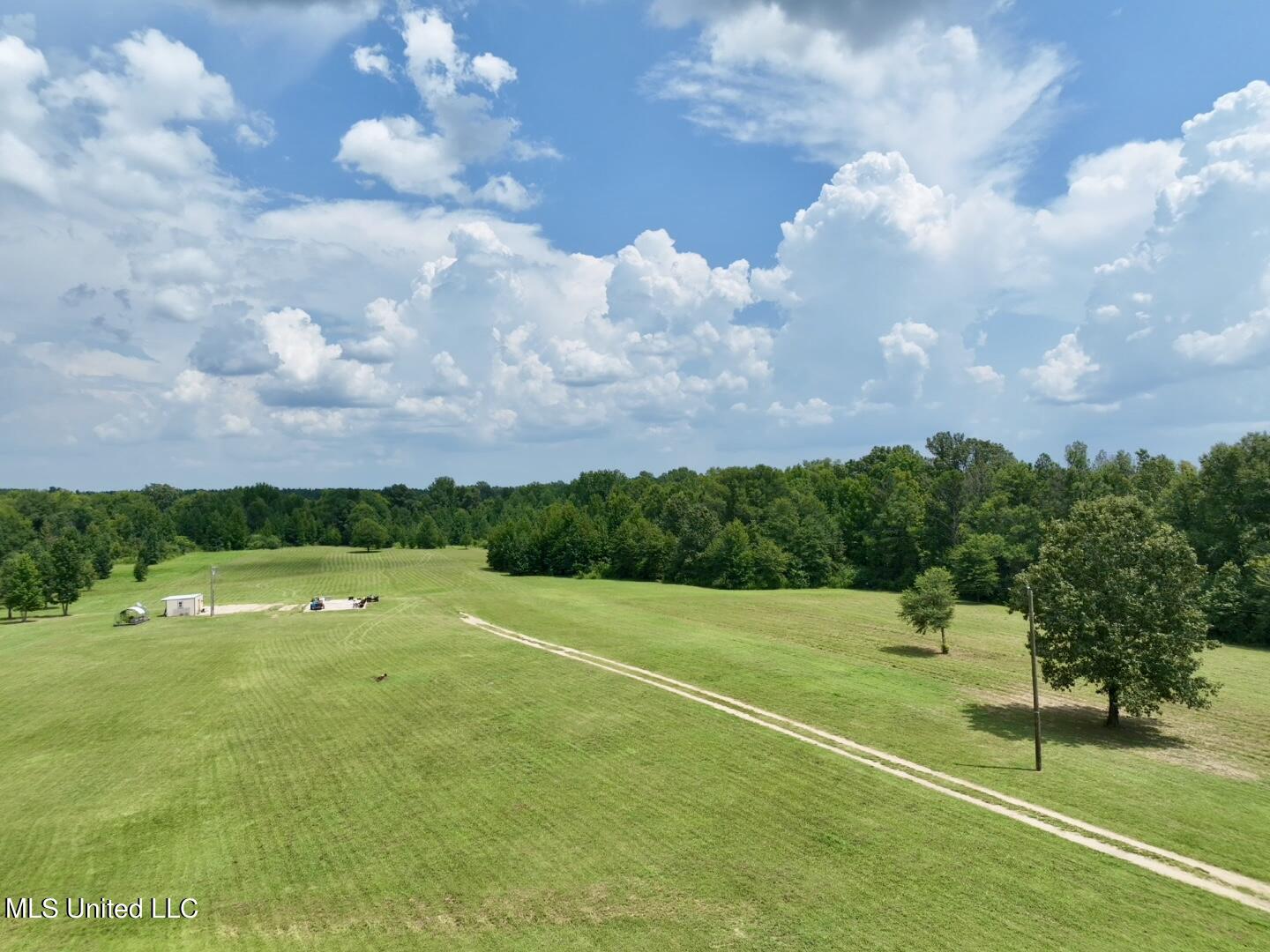 1625 Barnes Road, Canton, Mississippi image 1