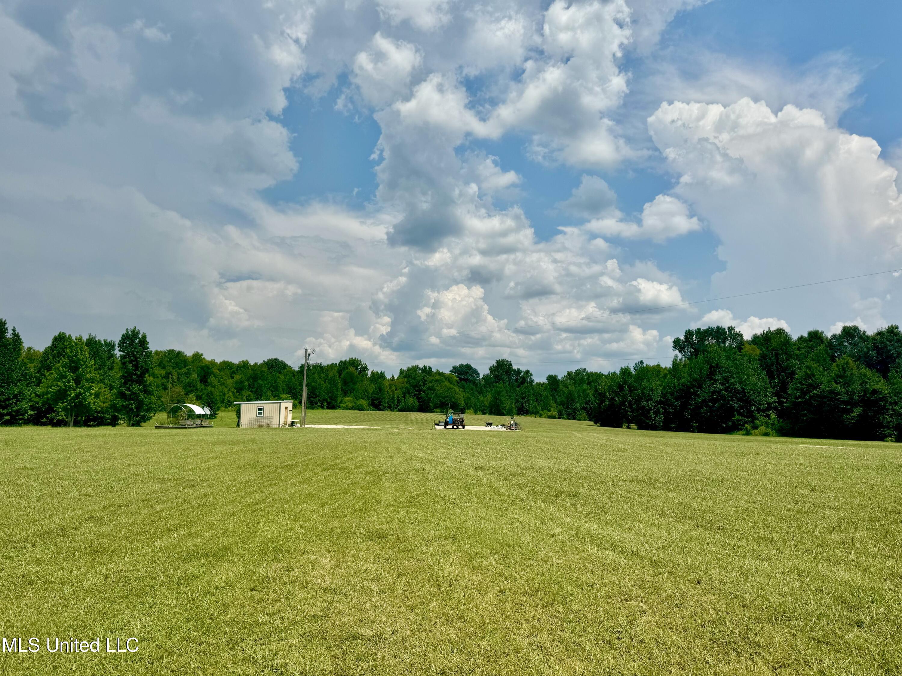 1625 Barnes Road, Canton, Mississippi image 38